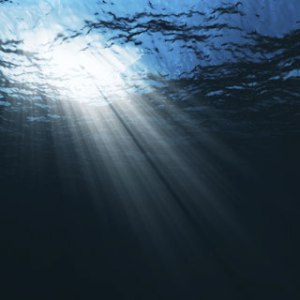 ABA25D80-B1E0-A6BA-64262FD8598B7A32_1